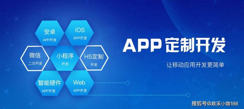 定制ERP系统：企业成长的助推器